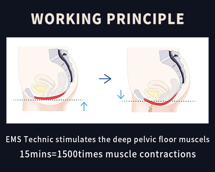 Non Internal - EMS Electromagnetic Urinary Incontinence Treatment Chair & Postpartum Repair - Pelvic Floor Stimulation